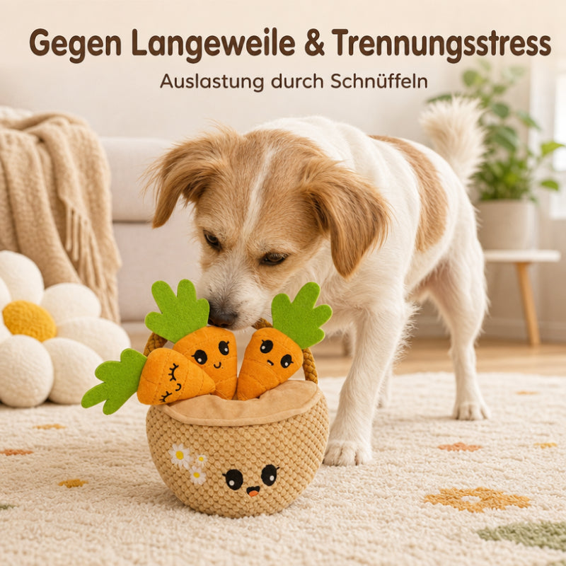 Hunde Intelligenzspielzeuge DT026-01-4