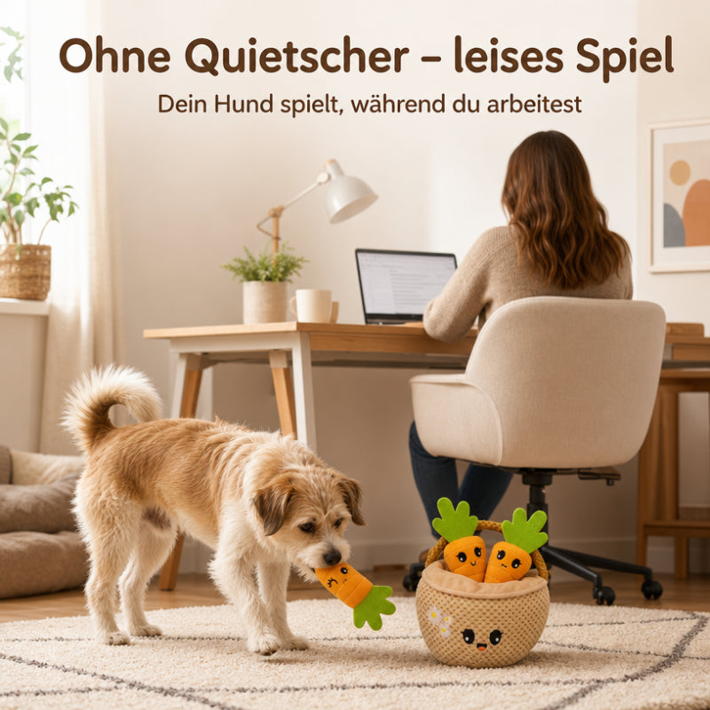 Hunde Intelligenzspielzeuge DT026-01-5