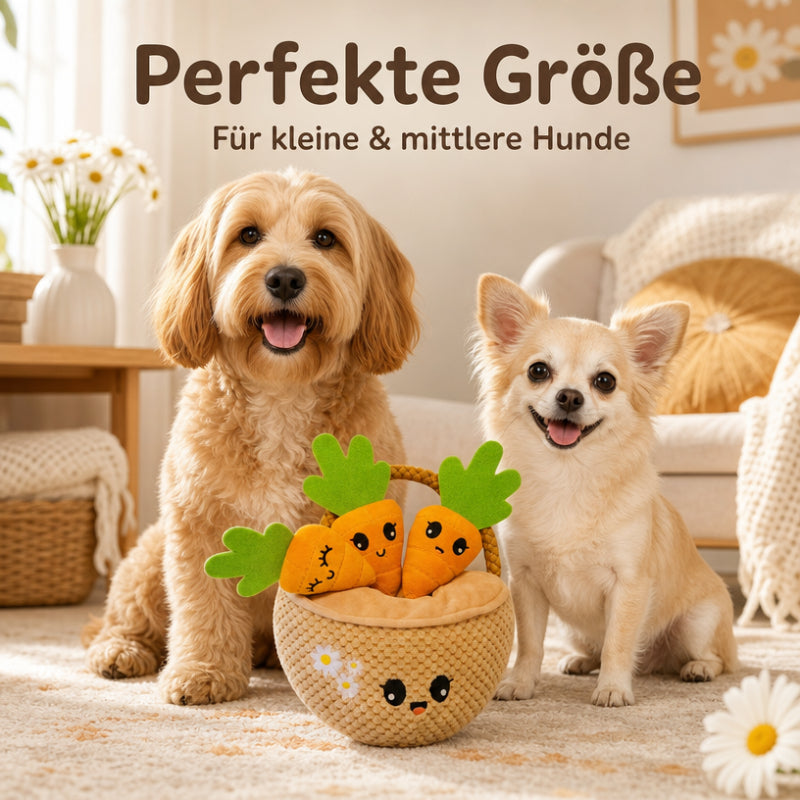 Hunde Intelligenzspielzeuge DT026-01-6