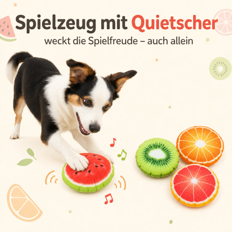 Hund Spielzeug DT027-01-6