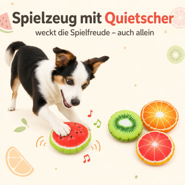 Hund Spielzeug DT027-01-6