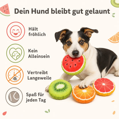 Hund Spielzeug DT027-01-9