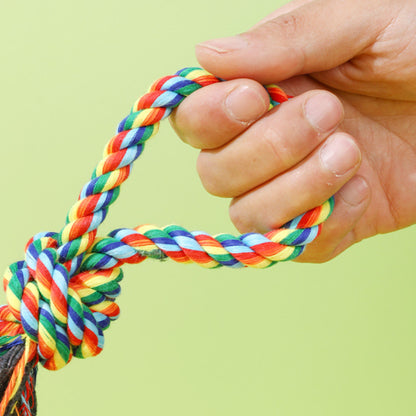 Hundespielzeug Unkaputtbar, Bunte Baumwollseilknoten für kleine und mittelgroße Hunde, Langlebig Geschenk für Hunde, 4er-Set