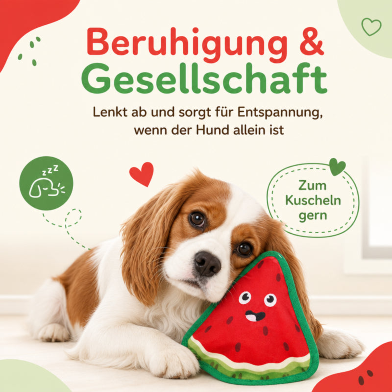 Kuscheltier für Hunde DT029-03-9