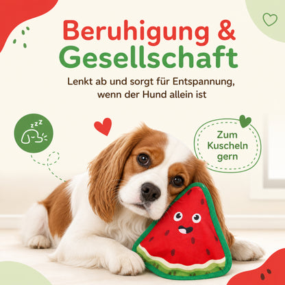 Kuscheltier für Hunde DT029-03-9