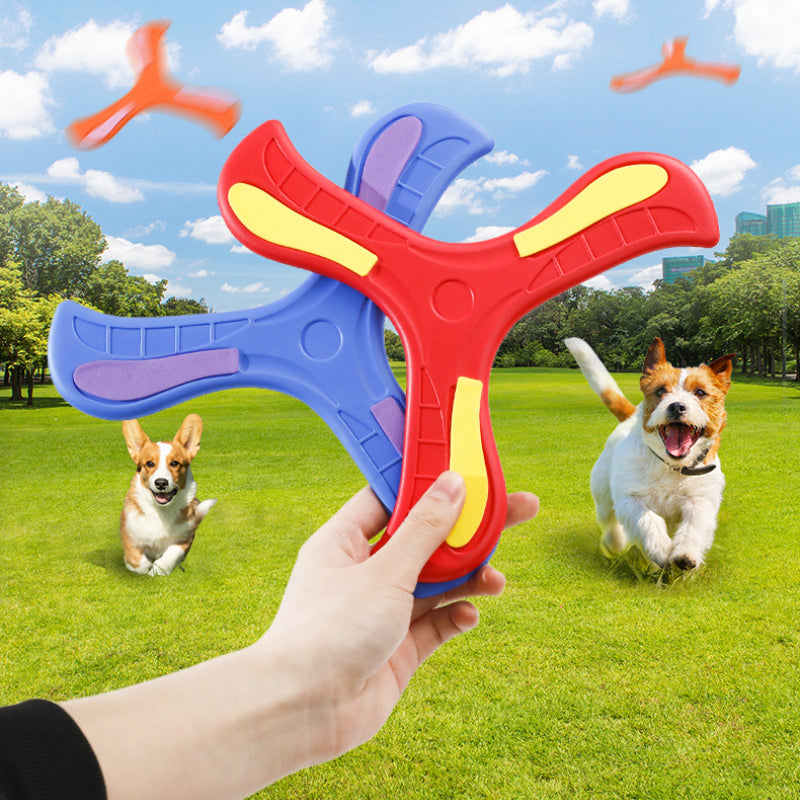Hund Spielzeug, Hundefrisbee, EVA Dreiblatt-Bumerang, Weiches & Sicheres für Draußen interaktive Spiele, Farben zufällig