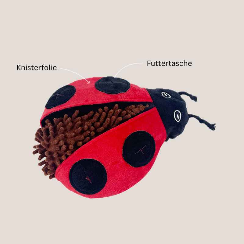 Hunde Intelligenzspielzeug,  Interaktives Futterspielzeug mit Marienkäfer und Schildkröte Design, Bunt, Weich und Angenehm anzufassen