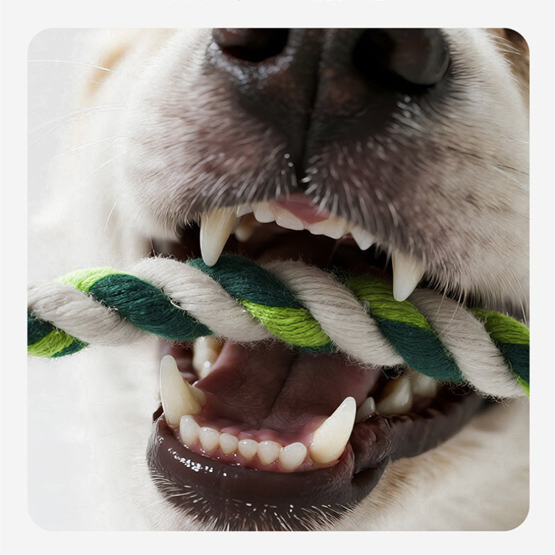 Kuscheltier für den Hund, Kauspielzeug für Hunde in vier Tier Varianten mit BB-Geräusch & Baumwollseil, interaktives, zahnpflege