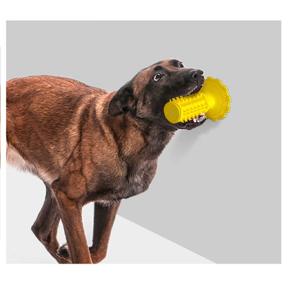 Hundespielzeug Unkaputtbar, Beißstab, Hundespielzeug Quietsch, Hundezahnbürste, drei Farben, geeignet für Hunde jeder Größe