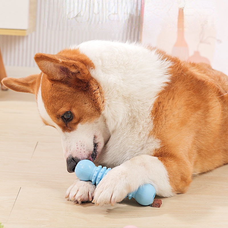 Hunde Spielzeug, TPR Zweikugel-Backenzahnstab, Kauspielzeug für Hunde, Interaktives Futterspielzeug für Hunde in drei Farben