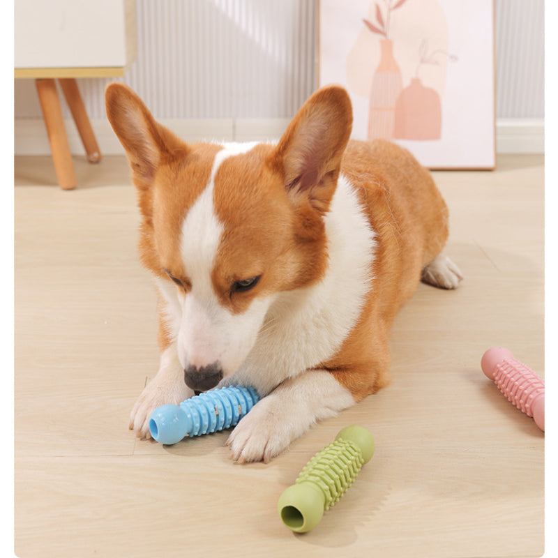 Hunde Spielzeug, TPR Zweikugel-Backenzahnstab, Kauspielzeug für Hunde, Interaktives Futterspielzeug für Hunde in drei Farben