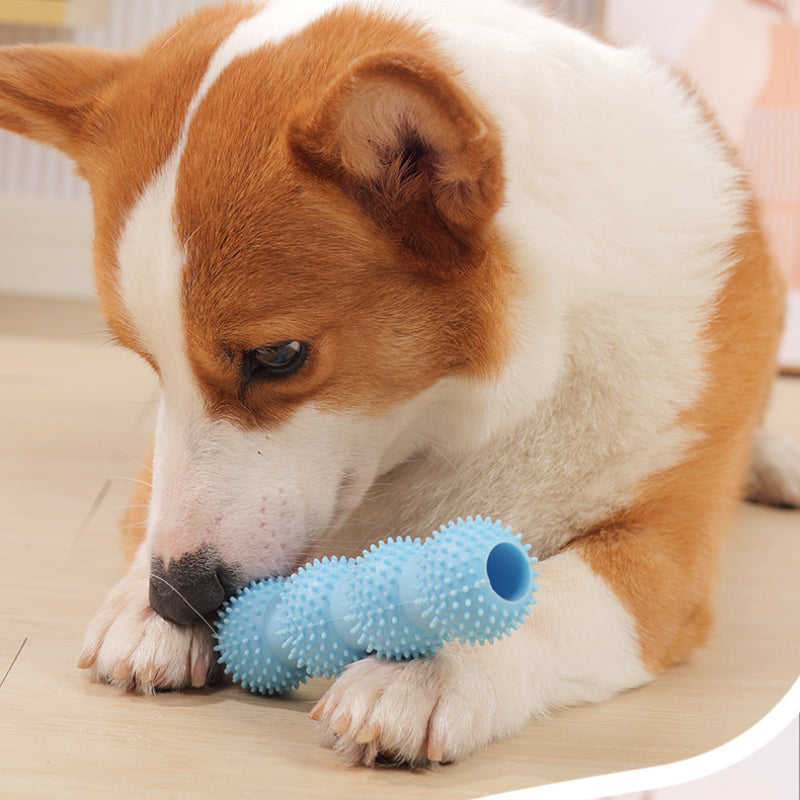 Spielzeug für den Hund, Vierkugel-Backenzahnstab aus TRP-Material, Bzerstörfest in drei Farben wählbar: Grün, Blau, Pink