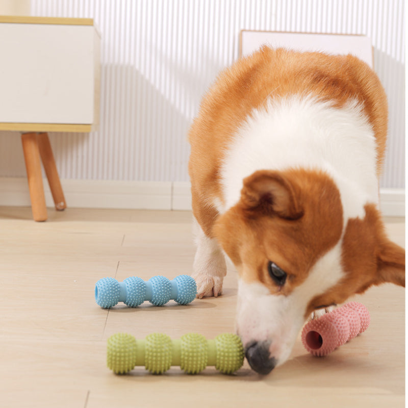 Spielzeug für den Hund, Vierkugel-Backenzahnstab aus TRP-Material, Bzerstörfest in drei Farben wählbar: Grün, Blau, Pink