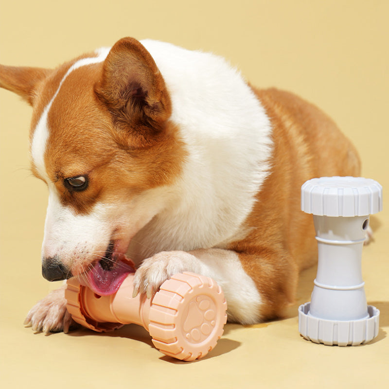 Hunde Intelligenzspielzeug, Hantel Futterspielzeug aus ABS, 3er Set für Slow Food-Training (3 Stücke)