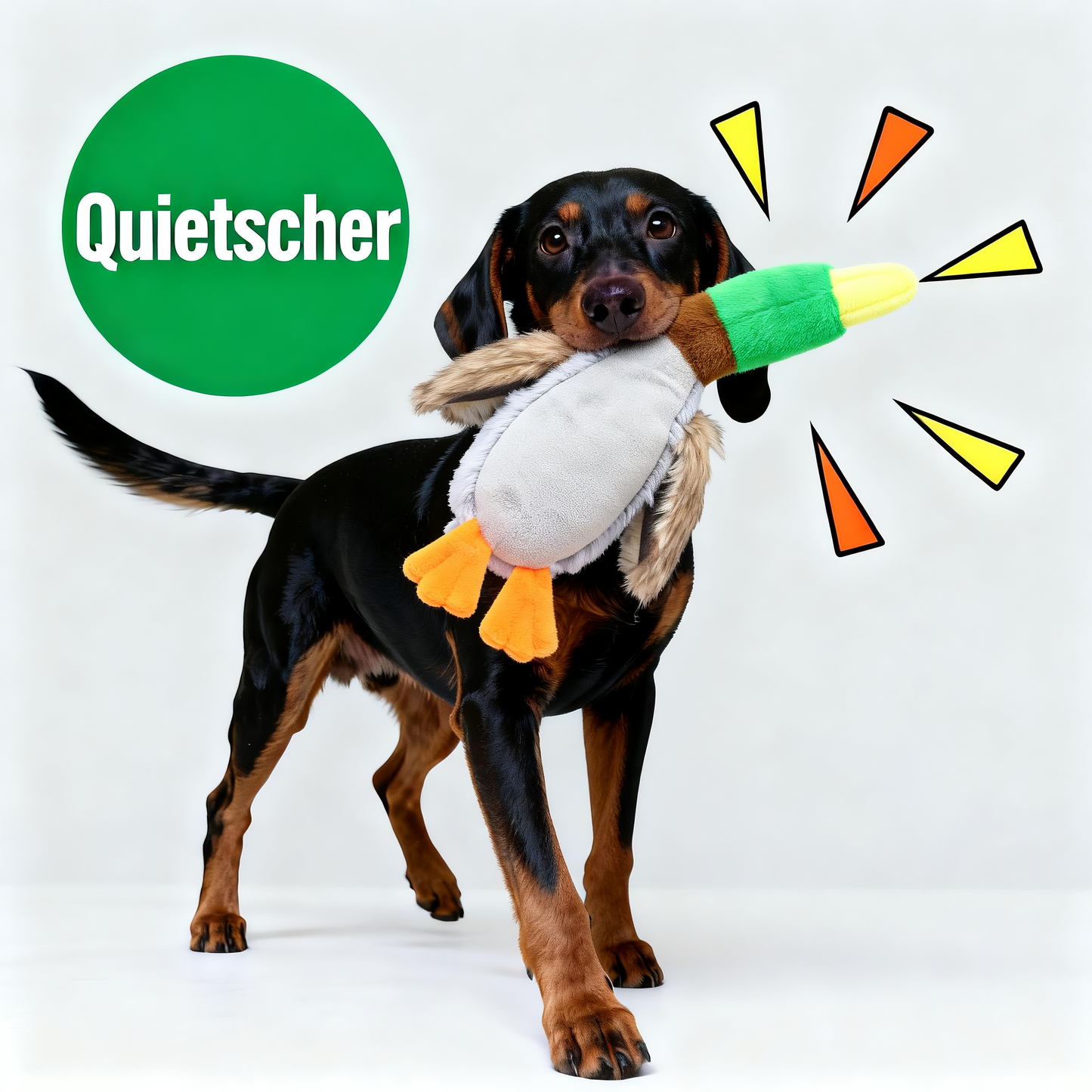 Hund Kuscheltier mit Quietscher, Plüschspielzeug im Entenform, 30 cm & 34 cm, Weich und Bunt