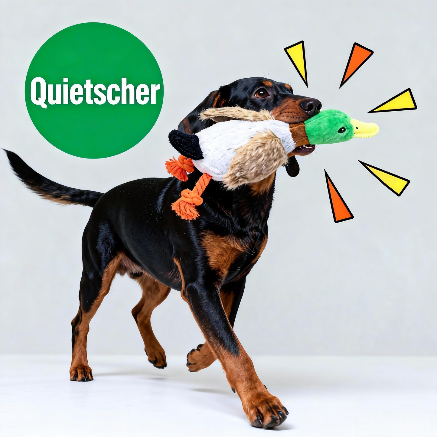 Hund Kuscheltier mit Quietscher, Plüschspielzeug im Entenform, 30 cm & 34 cm, Weich und Bunt