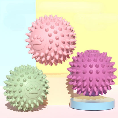 Hundespielzeug für den Hund, TRP Hundepfote Hundeball kauspielzeug hund, langlebig und knautschbar, Drei Farben, 5,5 cm