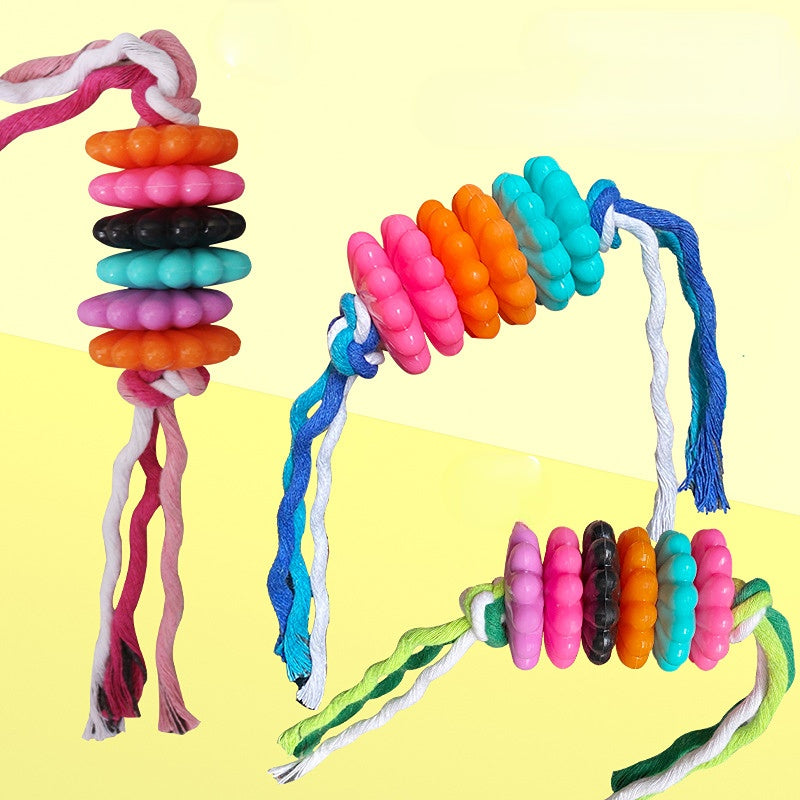 Hundespielzeug, TRP Blumentyp Kauspielzeug mit Baumwollseil, Langlebig und Backenzahn in Blau, Pink, Grün, 33 cm lang