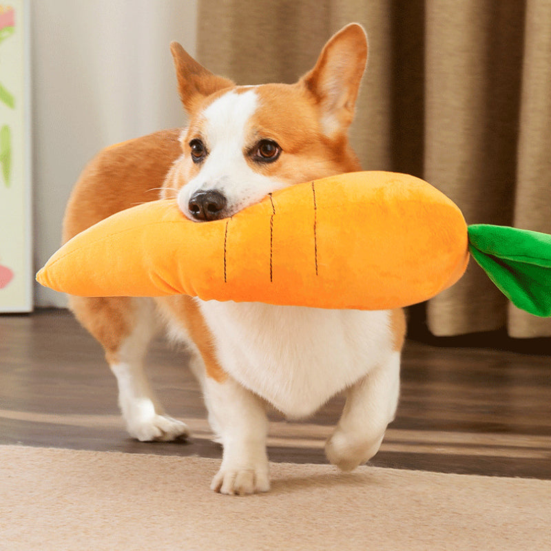 Kuscheltier für den Hund, Karotten-Spielzeug für Hunde mit BB-Sound, Drei Größen, Ideal zum Kauen und Spielen für alle Rassen