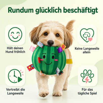 Hund Kuscheltiere DT044-08-11