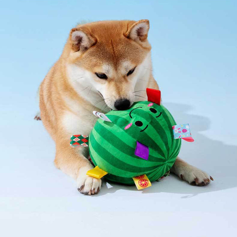 Hund Kuscheltiere, Dunkelgrüner Wassermelonen-Hundeball Mit Glocke, Ideal zum Kauen und Ziehen für Hunde aller Größen (1 Stück)