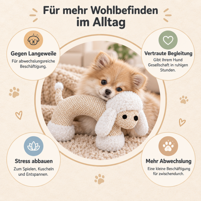 Spielzeug für den Hund DT047-03-9