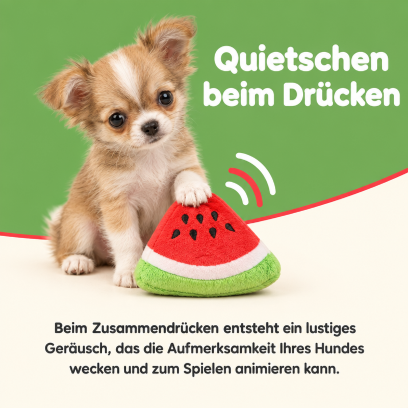 Kuscheltiere für Hunde DT047-08-5