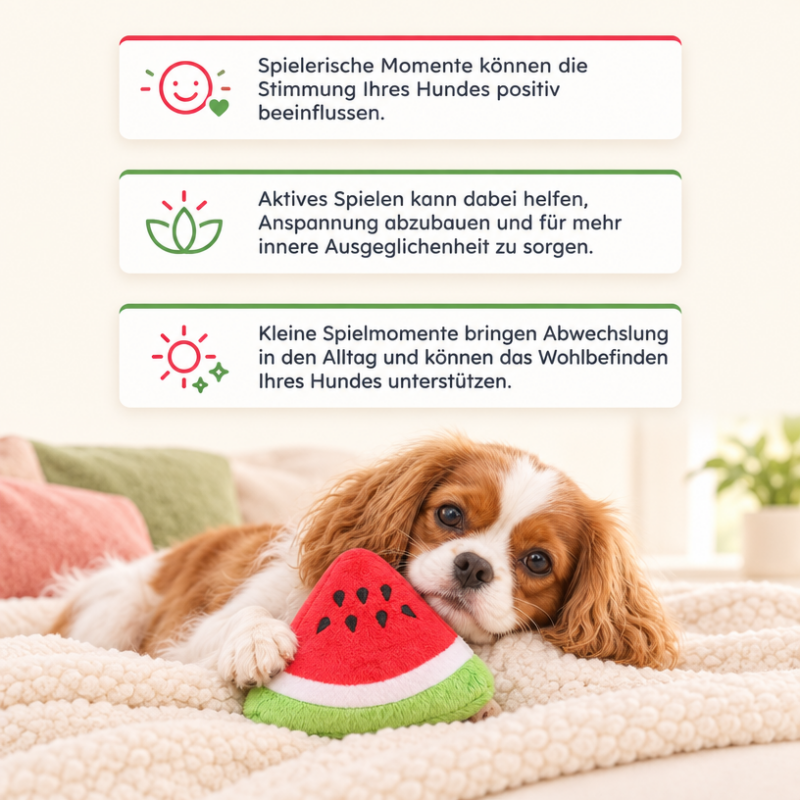 Kuscheltiere für Hunde DT047-08-7