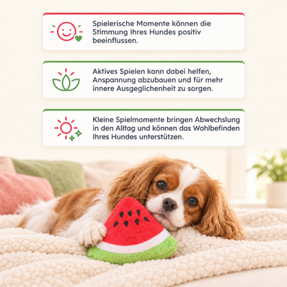 Kuscheltiere für Hunde DT047-08-7