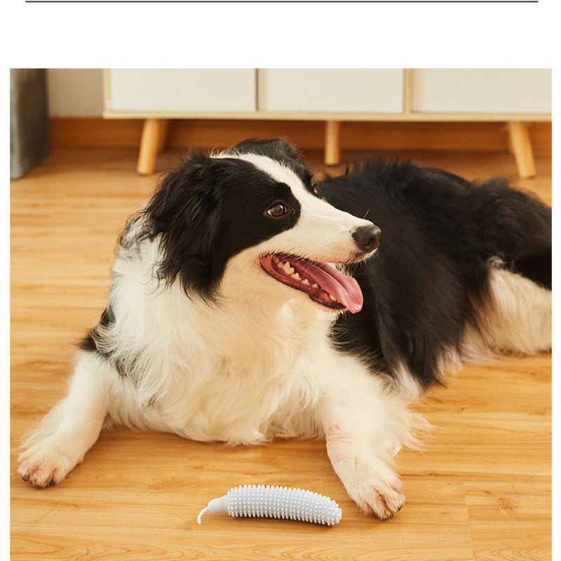 Hundespielzeug für den Hund, Premium TPE Gurkenform Zahnpflege-Spielzeug für Hunde, Hundespielzeug Unkaputtbar (1 Stück)