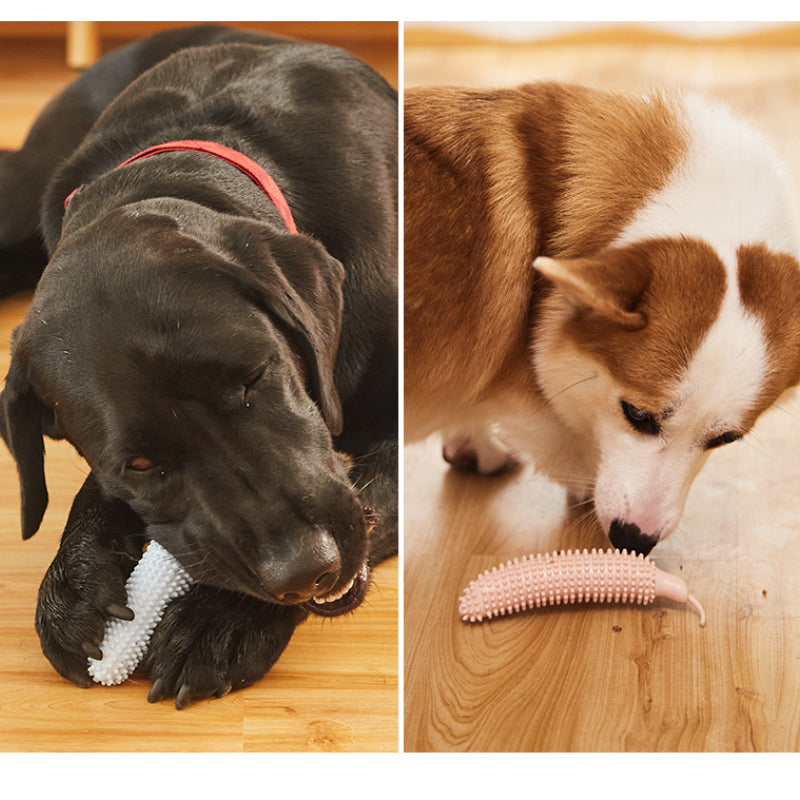 Hundespielzeug für den Hund, Premium TPE Gurkenform Zahnpflege-Spielzeug für Hunde, Hundespielzeug Unkaputtbar (1 Stück)