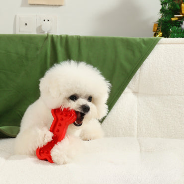 Kauknochen für Hunde, TPR Rot Knochenform, Zahnpflege Spielzeug, Langlebig, Hundespielzeug für alle Rassen (1 Stück)