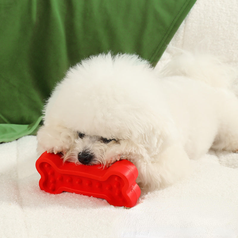 Kauknochen für Hunde, TPR Rot Knochenform, Zahnpflege Spielzeug, Langlebig, Hundespielzeug für alle Rassen (1 Stück)