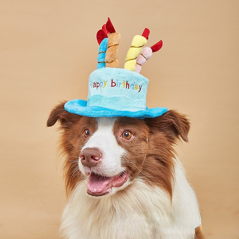 Hund Spielzeug, Verspielte Plüsch Geburtstagsmütze, Pink & Blau, Verstellbare Hutkordel, Perfekt für jeden Hund mit Geburtstag (1 Stück)
