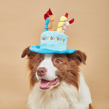 Hund Spielzeug, Verspielte Plüsch Geburtstagsmütze, Pink & Blau, Verstellbare Hutkordel, Perfekt für jeden Hund mit Geburtstag (1 Stück)