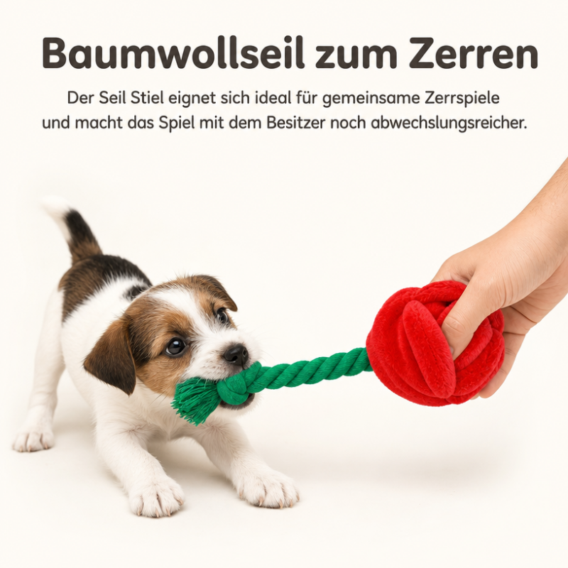 Kuscheltier für den Hund DT057-01-5