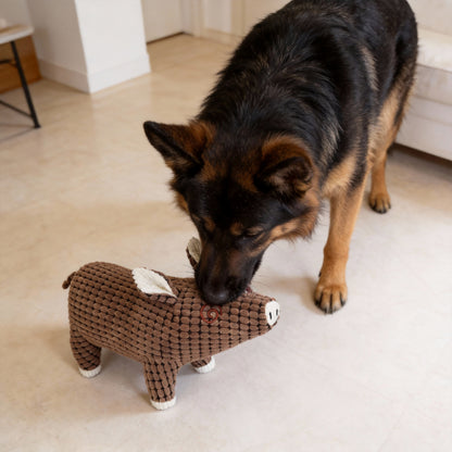 Kuscheltier für den Hund, Plüsch Schwein, PP-Watte, Quietschspielzeug, Spielen & Schlafen für Alle Hunde (1 Stück)