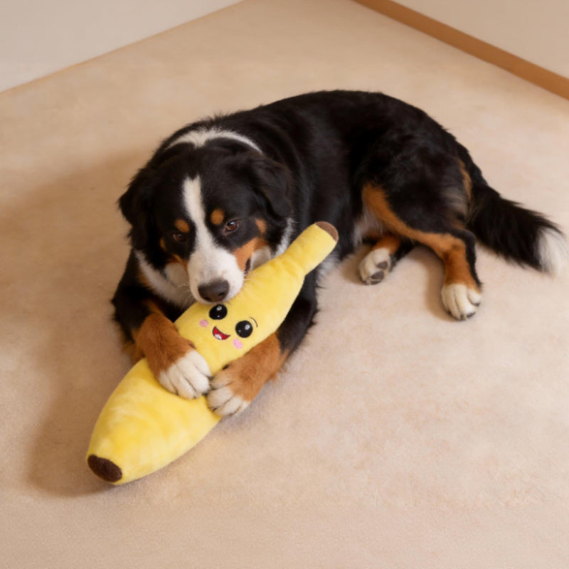 Kuscheltier für den Hund, Cartoon Banane aus weichem Plüsch mit Quietscher, Schlafen & Spielen, Zwei Größen (1 Stück)