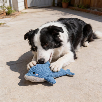 Kuscheltier für Hunde, Blauer Delfin, Hundespielzeug Quietschen, Futterversteck für kleine und große Hunde, Zwei Größen