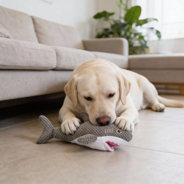 Hund Kuscheltiere, grauer Plüsch Hai mit Versteckmöglichkeit für Hundefutter, stundenlanger interaktiver Spielspaß, in zwei Größen erhältlich