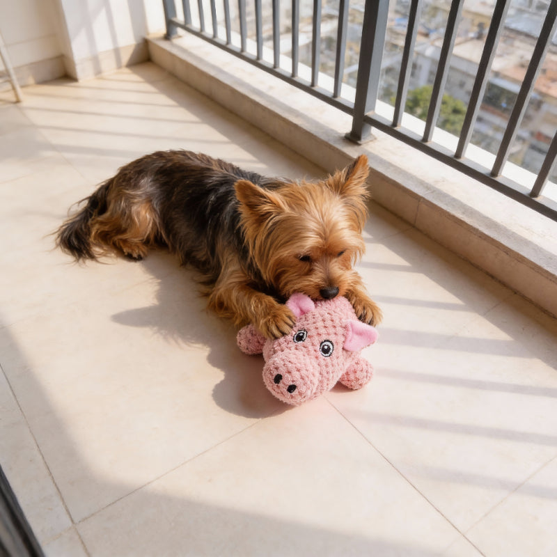 Hund Kuscheltiere, Spielzeuge Schwein, Nashorn und Elefant Quietschen, weich und aufmerksamkeitsstark für Hunde, 3er-Set