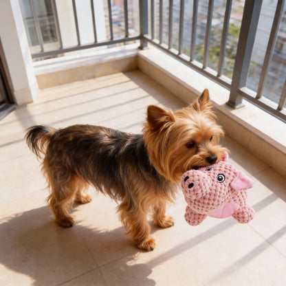 Hund Kuscheltiere, Spielzeuge Schwein, Nashorn und Elefant Quietschen, weich und aufmerksamkeitsstark für Hunde, 3er-Set