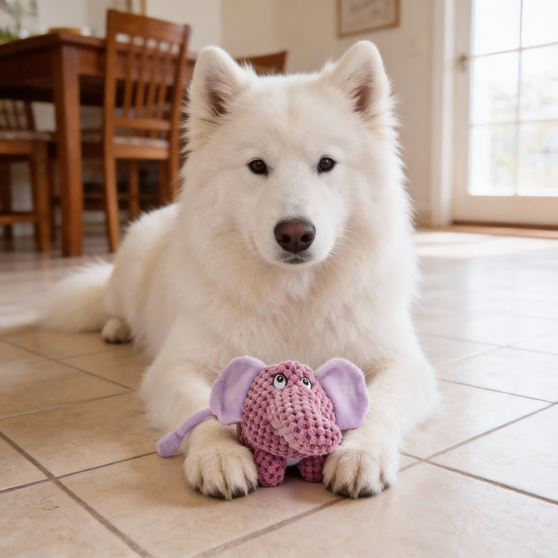 Hund Kuscheltiere, Spielzeuge Schwein, Nashorn und Elefant Quietschen, weich und aufmerksamkeitsstark für Hunde, 3er-Set