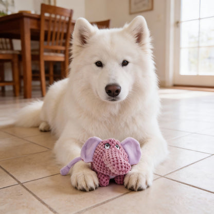 Hund Kuscheltiere, Spielzeuge Schwein, Nashorn und Elefant Quietschen, weich und aufmerksamkeitsstark für Hunde, 3er-Set