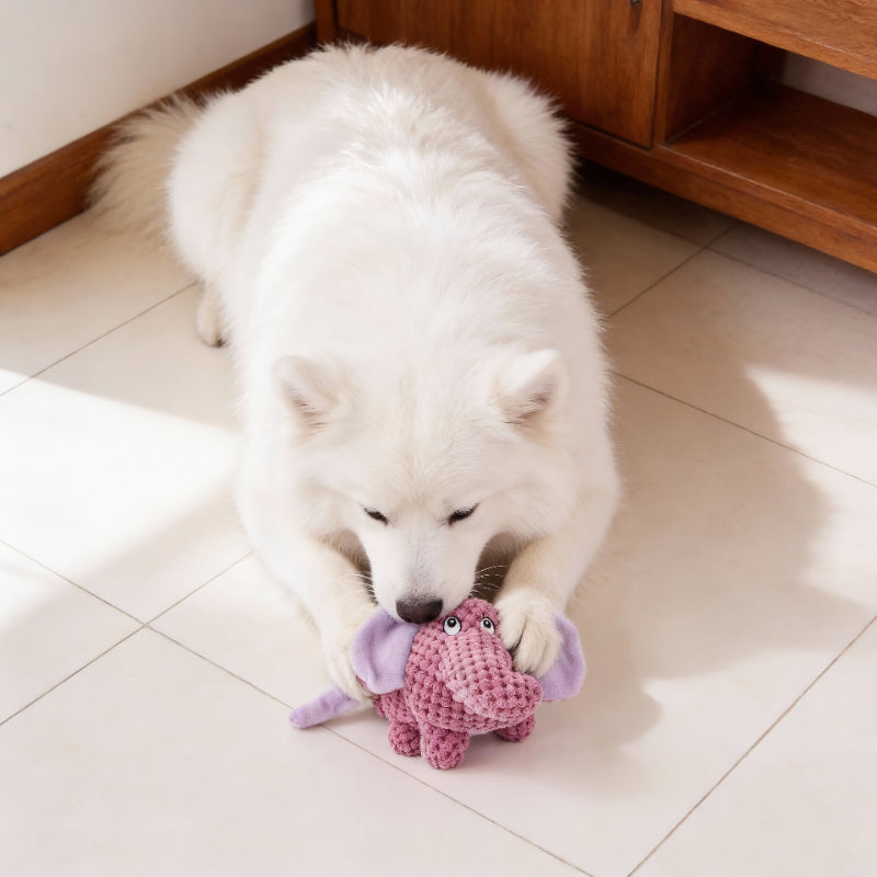 Hund Kuscheltiere, Spielzeuge Schwein, Nashorn und Elefant Quietschen, weich und aufmerksamkeitsstark für Hunde, 3er-Set
