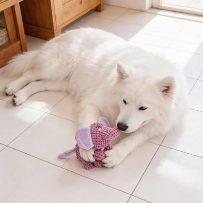 Hund Kuscheltiere, Spielzeuge Schwein, Nashorn und Elefant Quietschen, weich und aufmerksamkeitsstark für Hunde, 3er-Set