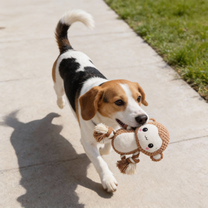 Kuscheltier für den Hund, Weicher Affe mit Quietscher für Spielspaß, mit Bissfestes Baumwollseil für Zahnreinigung, 3 Stücke
