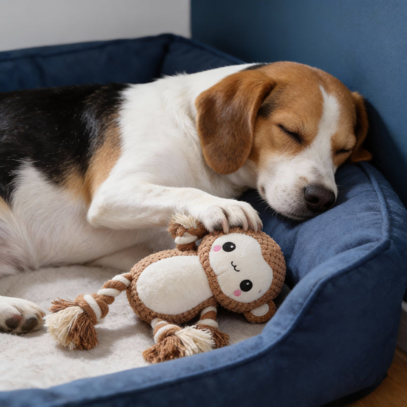 Kuscheltier für den Hund, Weicher Affe mit Quietscher für Spielspaß, mit Bissfestes Baumwollseil für Zahnreinigung, 3 Stücke