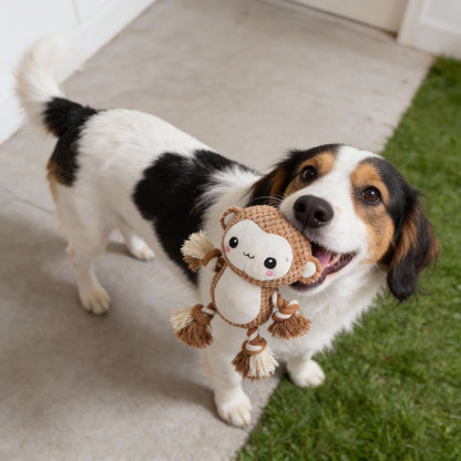 Kuscheltier für den Hund, Weicher Affe mit Quietscher für Spielspaß, mit Bissfestes Baumwollseil für Zahnreinigung, 3 Stücke
