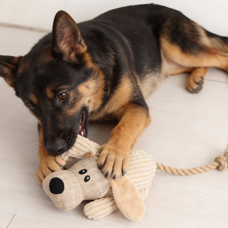 Kuscheltier für Hunde, Spielzeug in Esel und Hund Design mit Robusten Baumwollseilen, quietsch, Begleiter gegen Langeweile für Hunde, 3 Stück